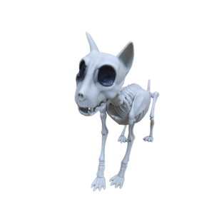 Halloween <b>Plastic</b> Activity Skeleton Cat <b>Animal</b> Skeleton Halloween Horror Decor - Product Image 5