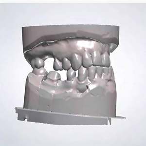 Software Dental Smile Design Work con Módulo Completo - Product Image 2