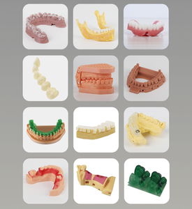 Impresora 3D <span class=keywords><strong>Dental</strong></span> de Nuevo Estilo 2026, Fácil de Operar, para Moldes Dentales - Product Image 6