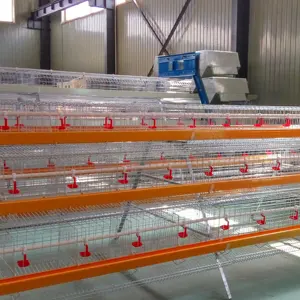 Automated Poultry Farm Accessories 3 4 Tier Poultry Chicken Egg Layer Battery Cage System