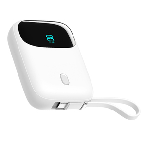 พาวเวอร์แบงค์ OEM รุ่นยอดนิยม ความจุ 10000mAh พร้อมสายชาร์จ C และ LTN ในตัว, ชาร์จเร็ว 22.5W, หน้าจอ LED, เครื่องชาร์จโทรศัพท์แบบพกพา - Product Image 6