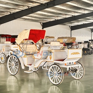 Carro de turismo semicerrado blanco de alta calidad y bajo precio para 1-6 personas, carro turístico, carro eléctrico para bodas - Product Image 6