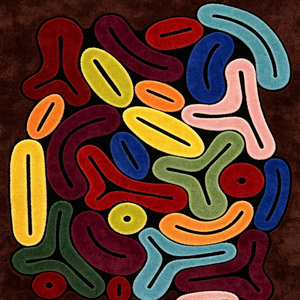 Alfombra Antibacteriana de Forma Especial, Diseño Persa Moderno, Hecha a Mano, Lavable, Hipoalergénica, para Sala de Estar - Product Image 4