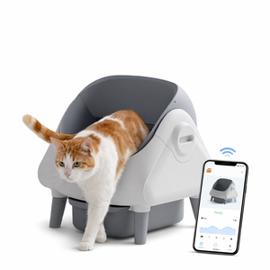 Toilette Intelligente pour Chat avec Nettoyage Automatique, Isolation des Odeurs, Solution Moderne pour Litière d'Animaux, Vente en Gros, Fournisseur d'Usine - Product Image 1