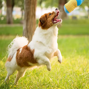 Pet Supplies Dog Squeaky Toys Plush Cartoon Sock Chew Toy Durable Funny Dog Chew Toys for Aggressive Chewers - Product Image 4