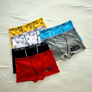 Sous-vêtements pour garçons en pur coton, caleçons respirants, petits garçons, motifs classiques imprimés, culottes assorties - Product Image 1