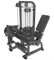 Appareil de fitness professionnel de haute qualité pour l'entraînement de force en salle : Extension dorsale et entraîneur abdominal