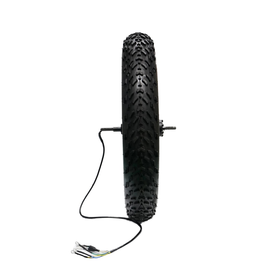 電動自転車 ハブモーター付きリアホイール 20×4.0 ファット48V 750W 電動自転車用20*4.0統合Eバイクハブモーターホイール