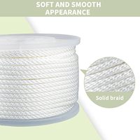 Corde tressée solide en nylon blanc à faible élasticité, résistante à l'abrasion et aux UV, pour mât de drapeau, longe, corde à linge, camping et artisanat