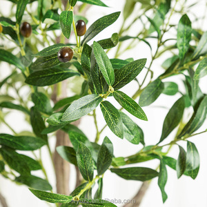 Árbol de Olivo Artificial para Decoración Interior y Exterior, Planta en Maceta, Simulación de Bonsái, Adorno para Suelo - Product Image 3