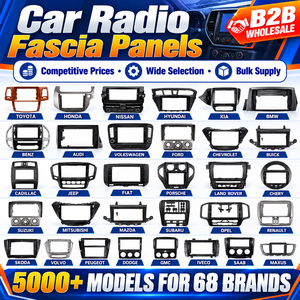 Cadre de console radio automobile professionnel, accessoire de rétrofit pour autoradio, pour Fiat Opel Lada, garniture intérieure automobile, stock en gros - Product Image 1