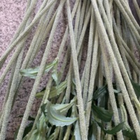 Batang Bunga Lonceng Buatan Velvet-Touch K-1008 87cm, Dekorasi Bunga Campanula Palsu untuk Latar Belakang Acara, Dekorasi Meja Hotel, Kerajinan Tangan