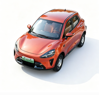 Quadricycle électrique à basse vitesse, SUV pour usage urbain, 4 portes, 5 places, roues en alliage d'aluminium, caméra de recul, véhicule familial pour les trajets quotidiens, 3500W