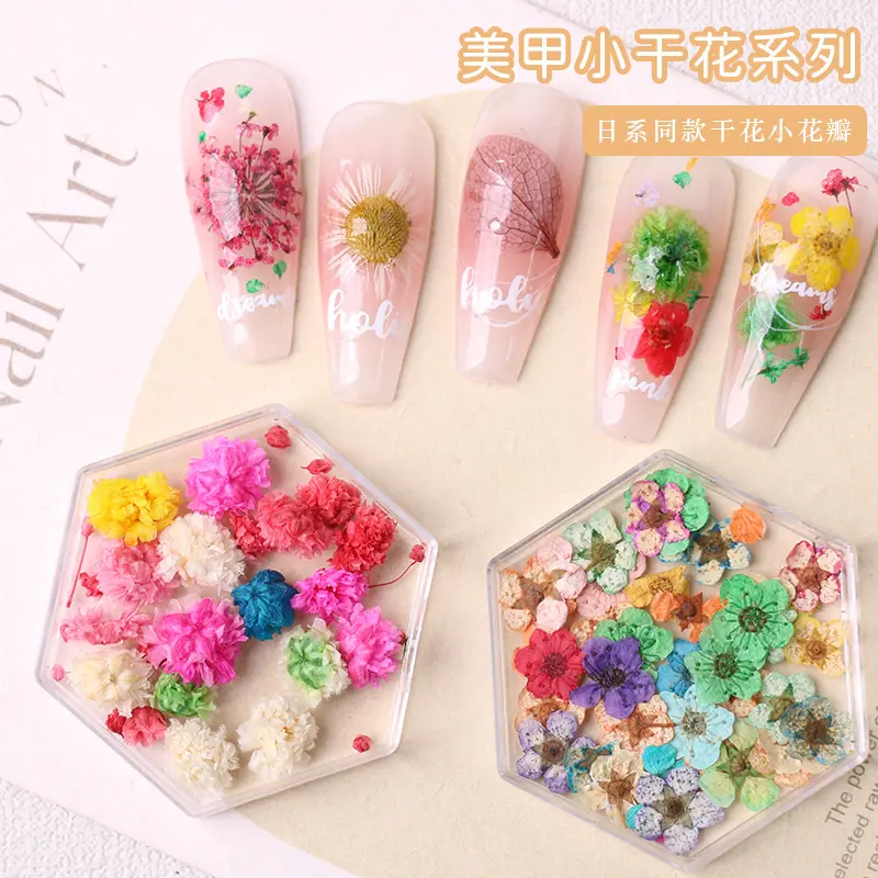 Kleurrijke Manicure Nagel Bedels Sieraden 3d Natuurlijke Gedroogde Bloemen Nail Art Decoratie Diy Nagels Kunst Bloem