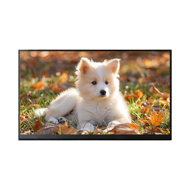 10.1 Inch 1280*800 TFT Touch Screen LCD Module with 1000 Nits Backlight HD-MI Board LVDS Interface