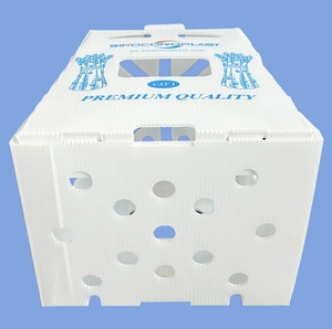 Corruone China <strong>Manufacturer</strong> PP <strong>Polypropylene</strong> Material Coreflute <strong>Boxes</strong> Corrugated Plastic Folding Fruits Vegetables <strong>Boxes</strong> - Product Image 6