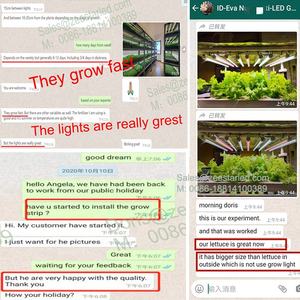 सस्ते 2835 120नेतृत्व/m dc 12v 24v पूर्ण स्पेक्ट्रम के नेतृत्व वाले संयंत्र ने लाइट स्ट्रिप - Product Image 5