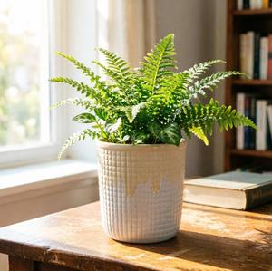 Pot de fleurs en céramique blanc et gris 2026, idéal pour la décoration intérieure et extérieure, <span class=keywords><strong>jardin</strong></span>, balcon, bureau - Product Image 3