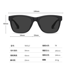 Lunettes de soleil polarisées de haute qualité, vente en gros, logo personnalisé, lunettes pour homme, monture TR90 - Product Image 5