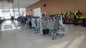 Hot-sale <strong>Matrix</strong> Lateral Raise Machine Commercial Fitness <strong>Gym</strong> <strong>Equipment</strong> ASJ-GM58 Sports Workout <strong>Equipment</strong> - Product Image 4