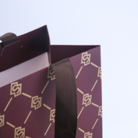 Impression de logo personnalisée pour les boutiques de vêtements haut de gamme, les centres commerciaux, la publicité, les cadeaux, les sacs en papier personnalisés - Portables et réutilisables