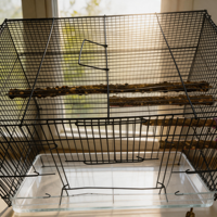 Perchoir en bois d'ash épineux naturel pour oiseaux, jouet à mâcher pour aiguiser le bec, pour cage de perroquet et de myna