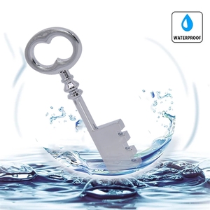 Metal Key USB <strong>Flash</strong> Drive 2.0 4GB 8GB 16GB 32GB Pen <strong>Vintage</strong> Key Memory Stick GB 2GB 1GB Pendrive Gold Silver - Product Image 6