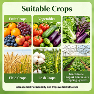 Fertilizzante Idrosolubile per il Miglioramento del Terreno, Soluzione Liquida di Acido Umico e Fulvico, Fertilizzante Organico per la Salute del Suolo - Product Image 3