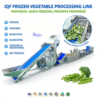 Automatische was-, blancheer-, IQF-vries- en verpakkingslijn voor diepvriesbroccoli, inclusief mixer en friteuse voor fruit en groenten.