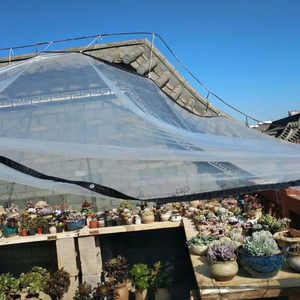 Bâche <span class=keywords><strong>transparente</strong></span> d'extérieur 2m x 3m en PE, imperméable, <span class=keywords><strong>pour</strong></span> jardin, protection des plantes, gazebo, <span class=keywords><strong>pergola</strong></span>, auvent, fenêtre <span class=keywords><strong>pour</strong></span> animaux de compagnie, pare-vent, 4-7 - Product Image 5