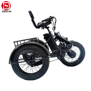 Bicicletta <span class=keywords><strong>Elettrica</strong></span> <span class=keywords><strong>Cargo</strong></span> da 20 Pollici, 36V 250W, a 2 Ruote, Non Pieghevole, per Consegna Cibo - Product Image 4