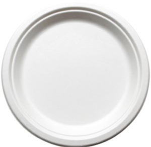 Piatto Rotondo in Bagassa Bianca da 10 Pollici, Moderno ed Ecologico, Usa e Getta, per Feste e Uso Quotidiano - Product Image 1