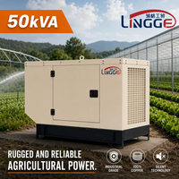 Générateur diesel silencieux 50 kVA 40 kW, moteur Weichai, groupe électrogène industriel