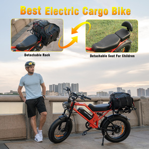 Vélo électrique tout-terrain 48V à pneus larges, deux places, adapté à la neige, livraison directe depuis entrepôt américain, export transfrontalier - Product Image 2