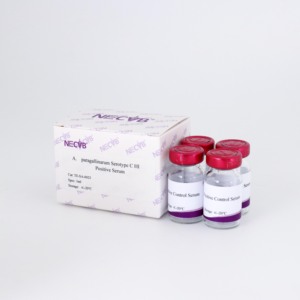 Suero HI <span class=keywords><strong>positivo</strong></span> para Avibacterium paragallinarum tipo C | Detección de patógenos avícolas - Product Image 3