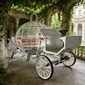 Carroza Eléctrica sin Caballos Estilo Elegante para Múltiples Pasajeros, Transporte para Bodas, Banquetes y Recorridos Turísticos - Product Image 1