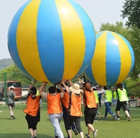 Ballons gonflables géants pour les jeux d'événements en plein air, ballons de basket-ball/de football gonflables de grande taille pour les activités de plein air