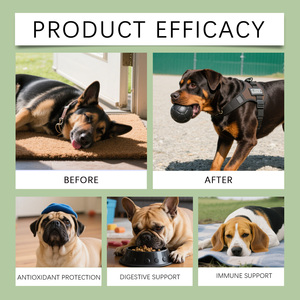 טיפות פרוביוטיקה טבעיות לכלבים 60 מיליליטר גליצרין צמחי תמצית צמחים לעיכול, חיזוק מערכת החיסון, תיאבון ותמיכה תזונתית לחיות מחמד, אספקת מפעל - Product Image 3