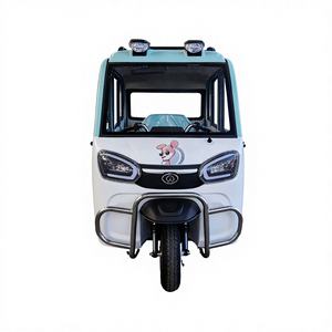 Modelo 2026, Triciclo Eléctrico Cerrado de Cinco Puertas con Certificación EEC, para 4 Pasajeros, de Alta Velocidad, para Taxis - Product Image 1