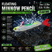 DUHNNUG Leurre de pêche flottant type crayon 7cm 5.2g, appât dur réaliste pour eaux de surface, yeux de poisson 3D, écailles, pour eau salée, rivière et lac