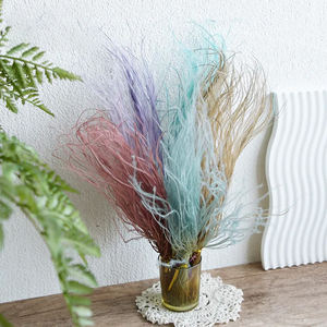 MC Wholesale Forever Floral Supply Soft Wispy Stipa Pennata Dry Wispy Feather Grass Stipa naturel séché - Product Image 2