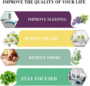 40 Tipos de Aromas, Aceite Esencial 100% Puro y Natural, Aceites Esenciales Orgánicos de un Solo Aroma para el Cuidado de la Piel, SPA, Yoga y Relajación - Product Image 6