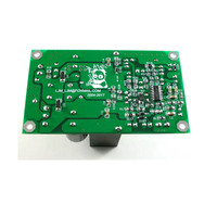 Module d'amplificateur numérique de classe D haute puissance IRS2092S 250W, module d'amplificateur mono L15DSMD