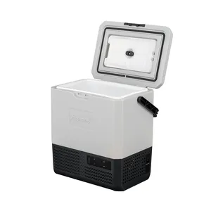 P15 Portable 12v Small Cooler und Freezer Dual Detachable Battery Compressor Cooler Box