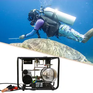 เครื่องอัดอากาศสำหรับดำน้ำ,เครื่องอัดอากาศแบบดูปะการังไม่ต้องใช้น้ำมันปั๊มดำน้ำ Dc 12V