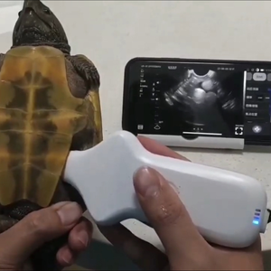 Sonde d'échographie sans fil 3-en-1 avec modes convexe/linéaire/transvaginal pour usage humain et vétérinaire – Scanner d'échographie sans fil - Product Image 6