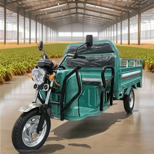 Triciclo EEC de Servicio Pesado de 1500W, Tres Ruedas, Carrocería Abierta, Alta Capacidad de Carga - Product Image 4