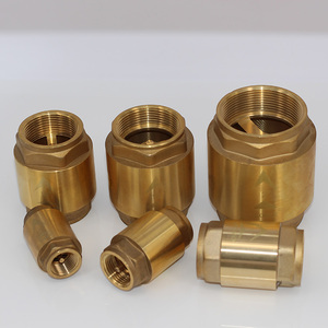 Chuyên Nghiệp 1/2 - 1 Inch Sử Dụng Nước Mùa Xuân Flap Brass Dọc Nữ Van Kiểm Tra Cho Nước - Product Image 6