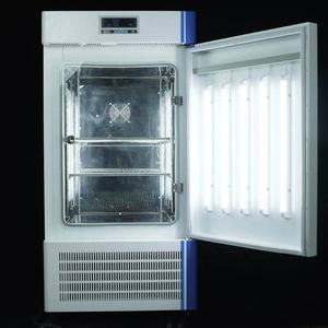 Incubadora de Cultivo Microbiano BIOBASE M Económica con Iluminación BJPX-L200BKII 200L, Incubadora con Luz LED para Germinación de Plantas - Product Image 2