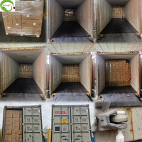 Premium Zoete Gedroogde Bosbessen Gezonde Snacks Voor Een Voedzame Boost